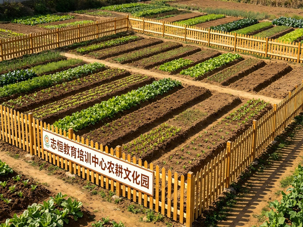 石嘴山叛逆孩子全封闭管教学校怎么选？选校思路与实操建议