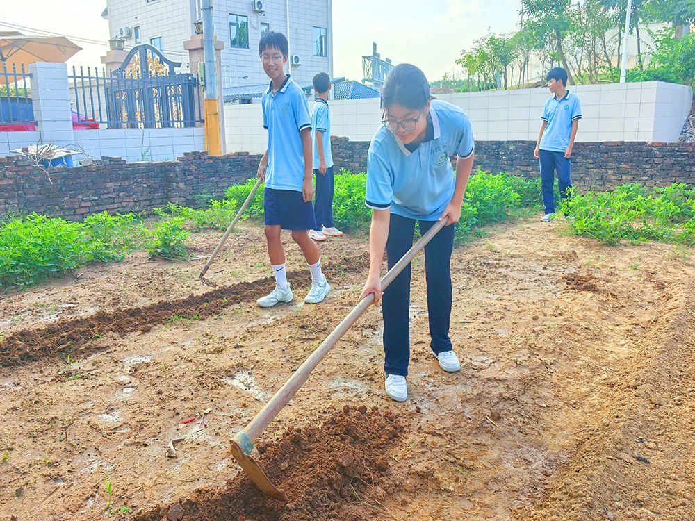 石嘴山正规叛逆青少年专门教育学校2026家长择校指南